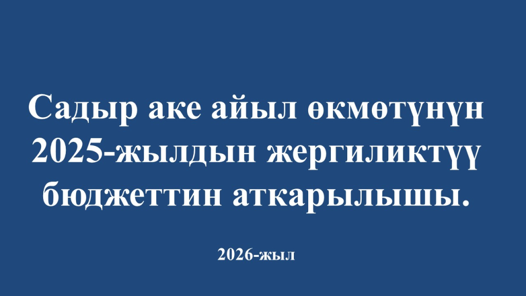 Садыр Аке айыл аймагынын 2025-жылдын бюджетинин аткарылышы боюнча маалымат